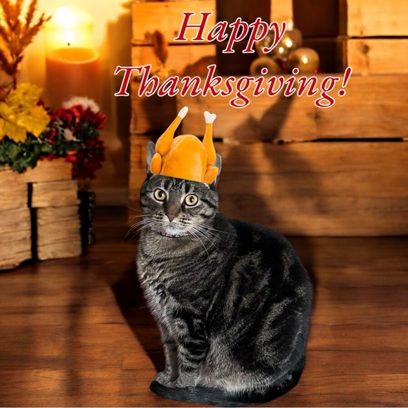 It’s Springtime again! - Picture 4 of 5